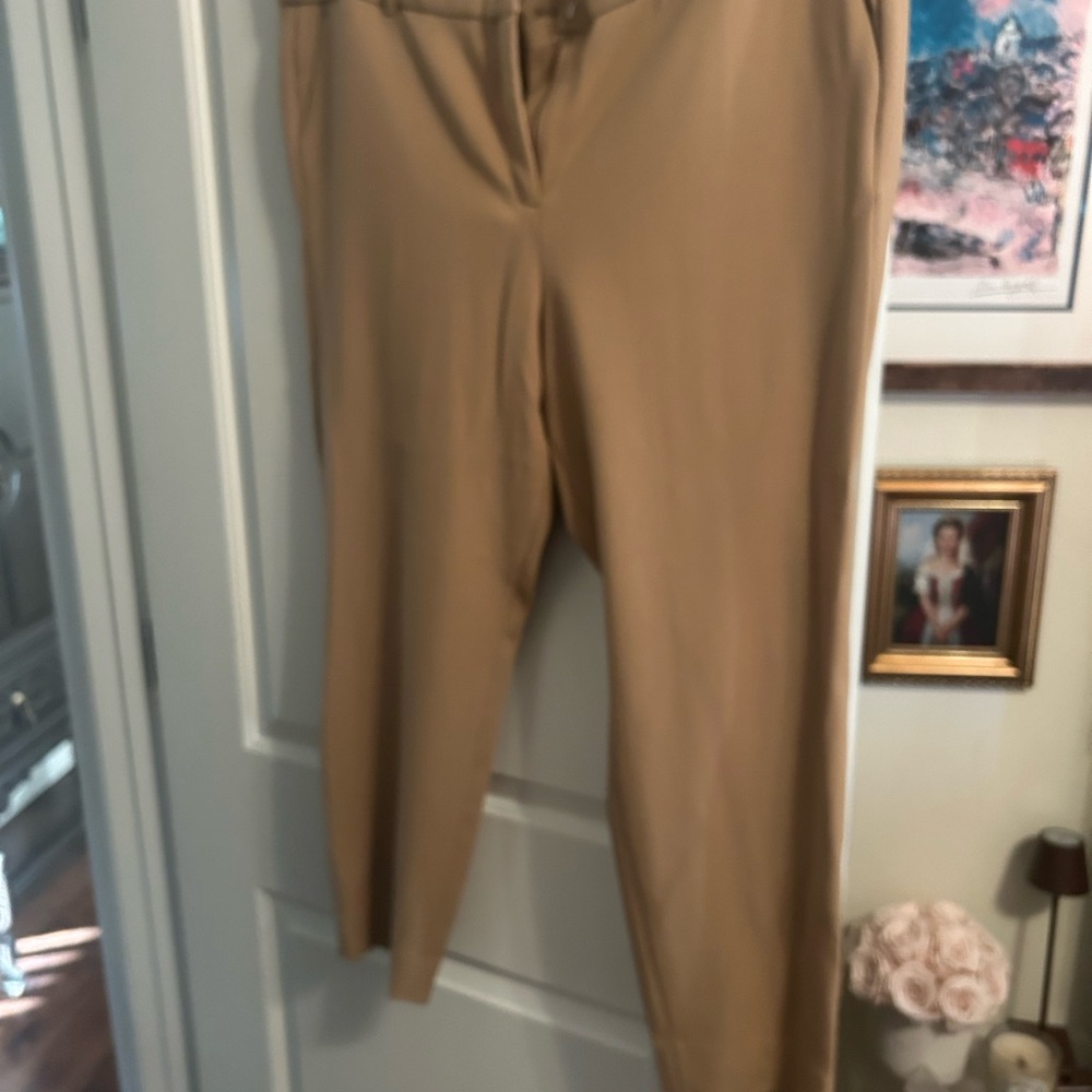 J. Crew Tan Trousers Tailored Professional Style